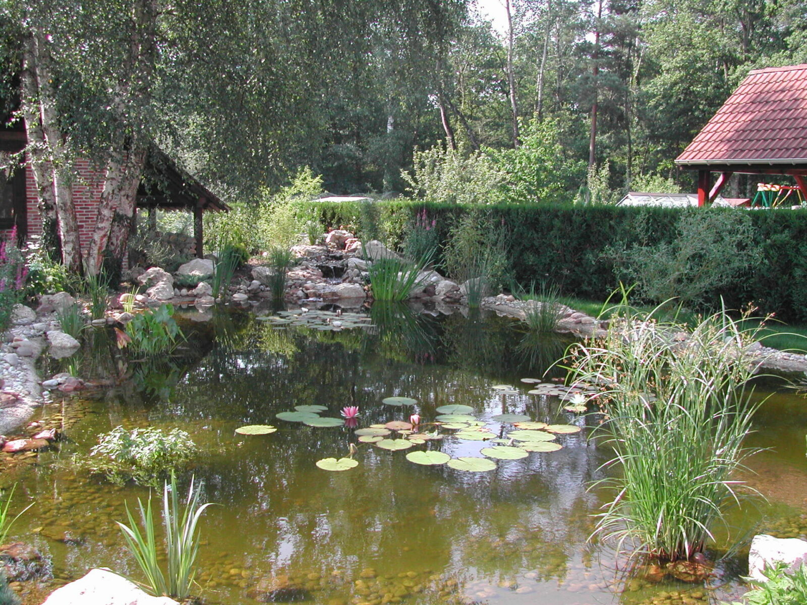 Arcadie Centre Paysagiste A Orleans 6 ARROSAGE BASSINS ET CASCADES 5