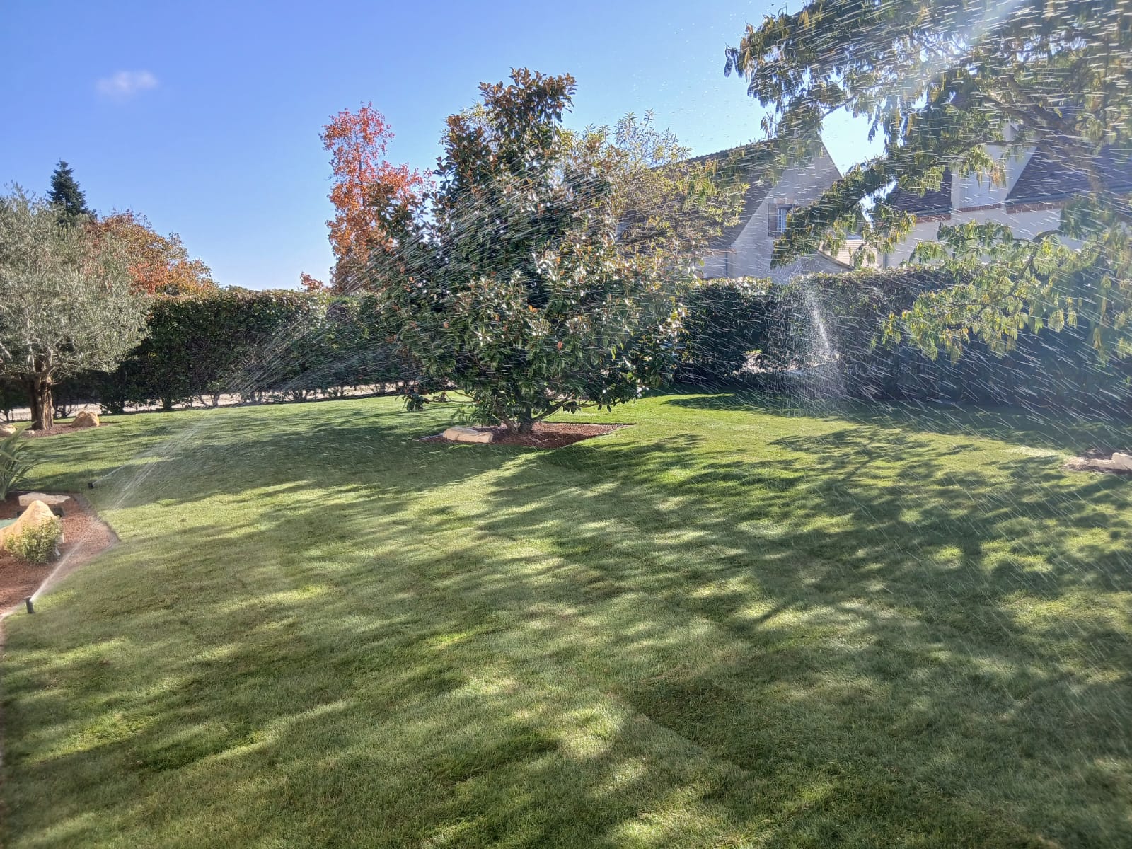 Arcadie Centre Paysagiste A Orleans WhatsApp Image 2025 10 17 A 13.30.03 D5b08d70